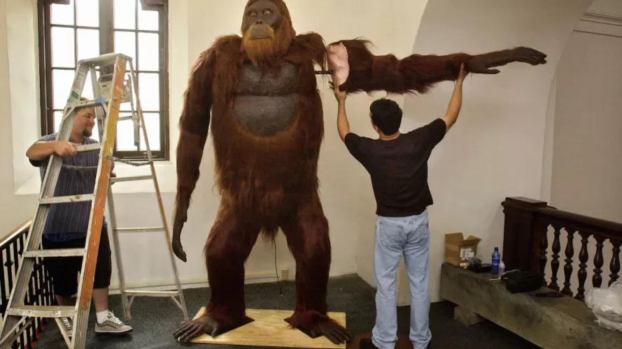 FUCK THIS GODAMN STUPID APE, PUBLIC APE DISEMBOWELMENT IN THE PUBLIC SQUARE 12PM 4/23 EST