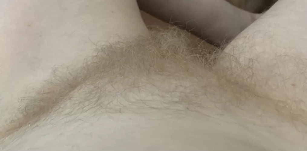 Hairy blonde bush! 