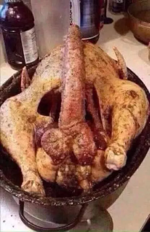 Here the turkey 