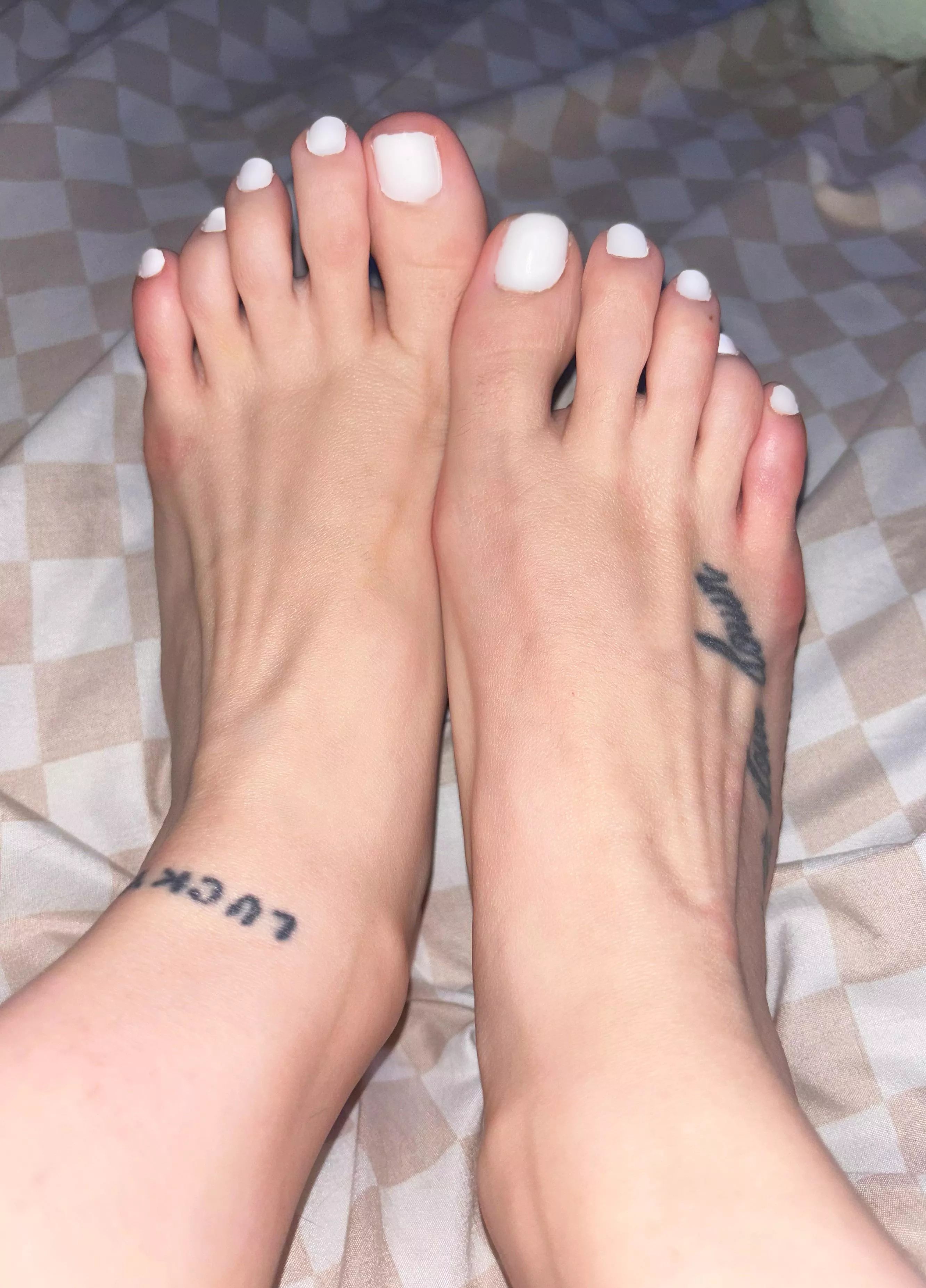 i need someone to worship my feet