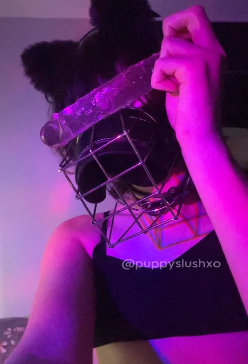 i reallly want the real thing