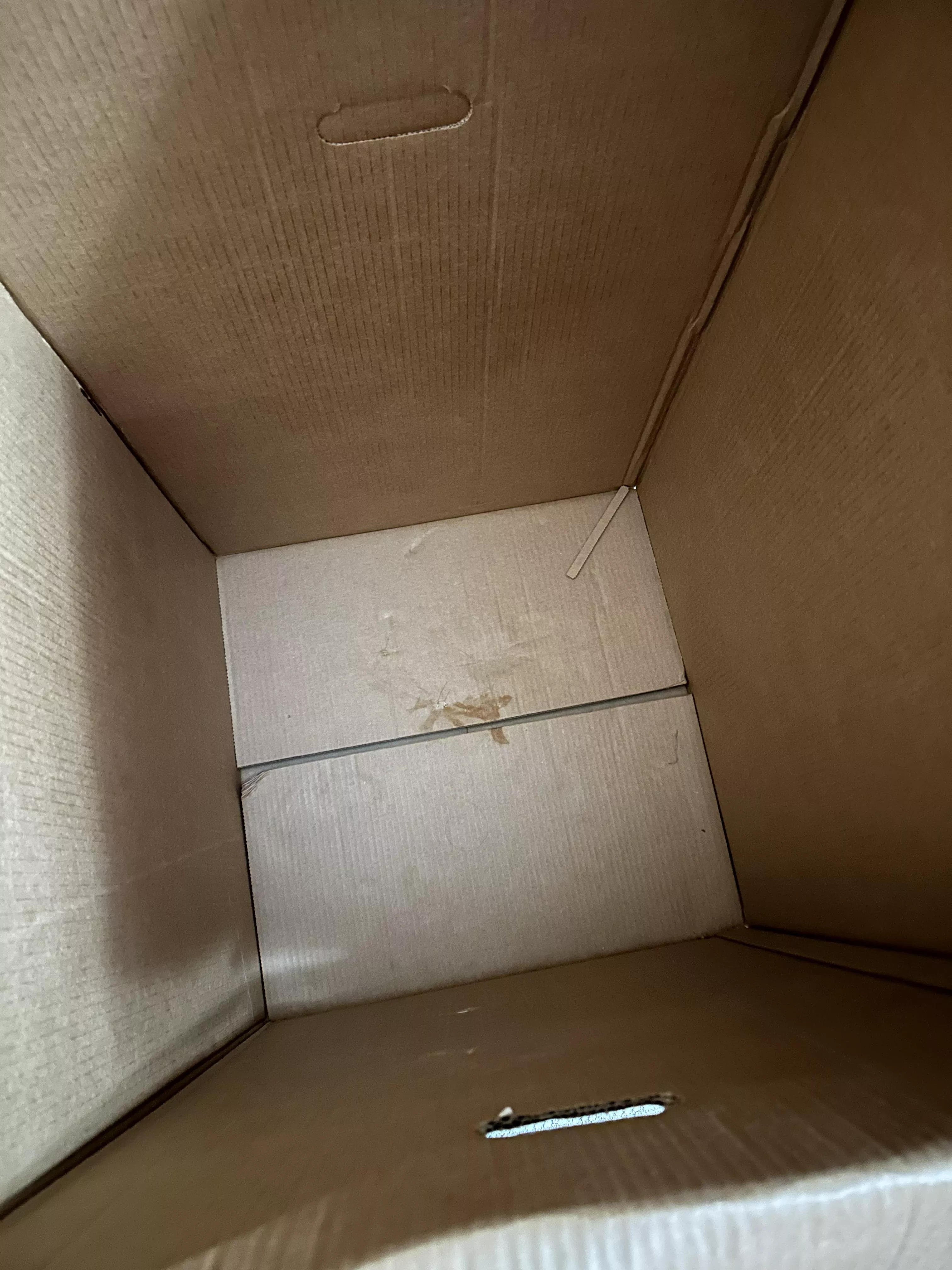 Locked in a box and this slut left a mess 