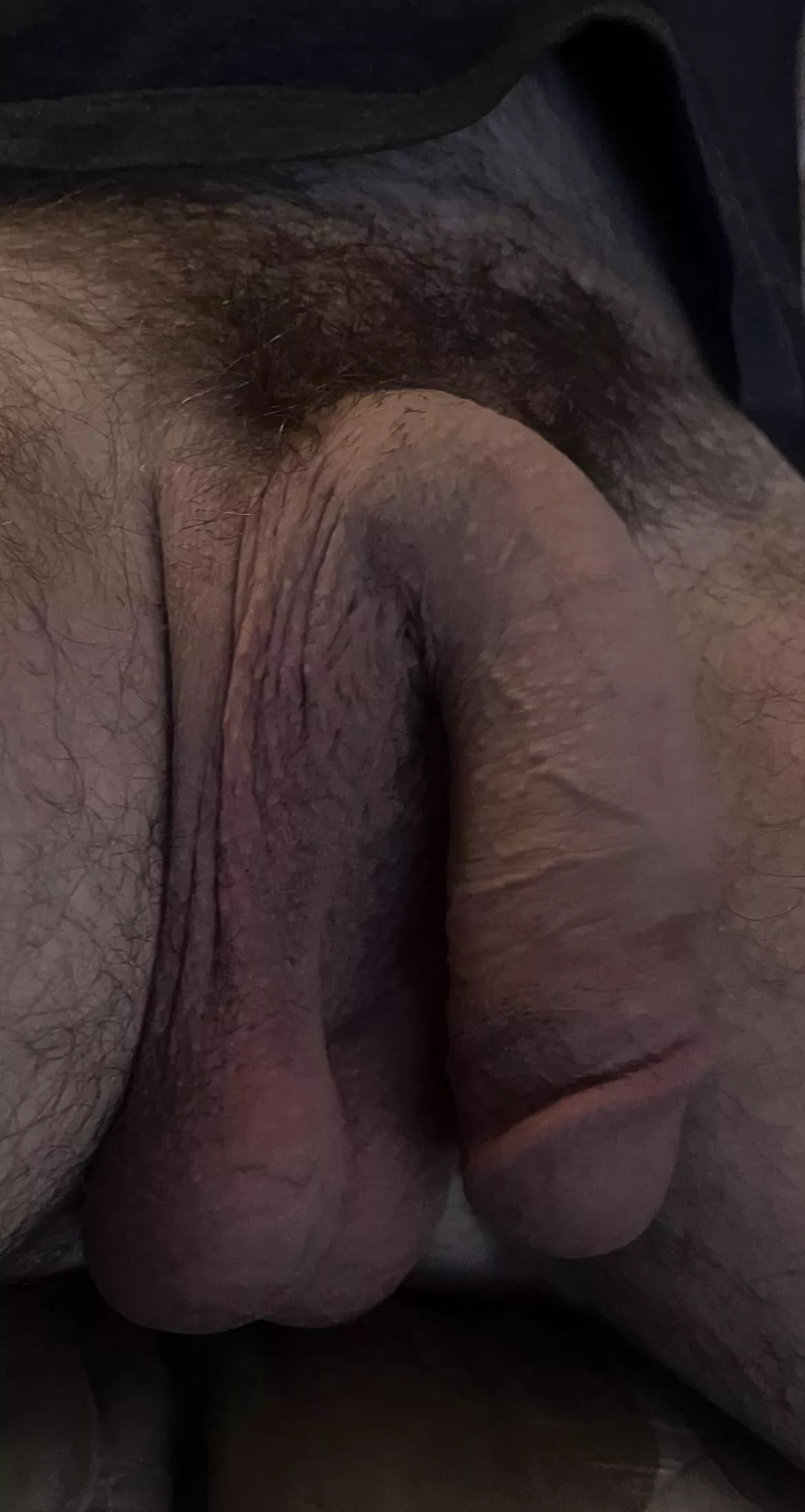 My big beautiful cock loves to hang low with my full balls. 🤤
