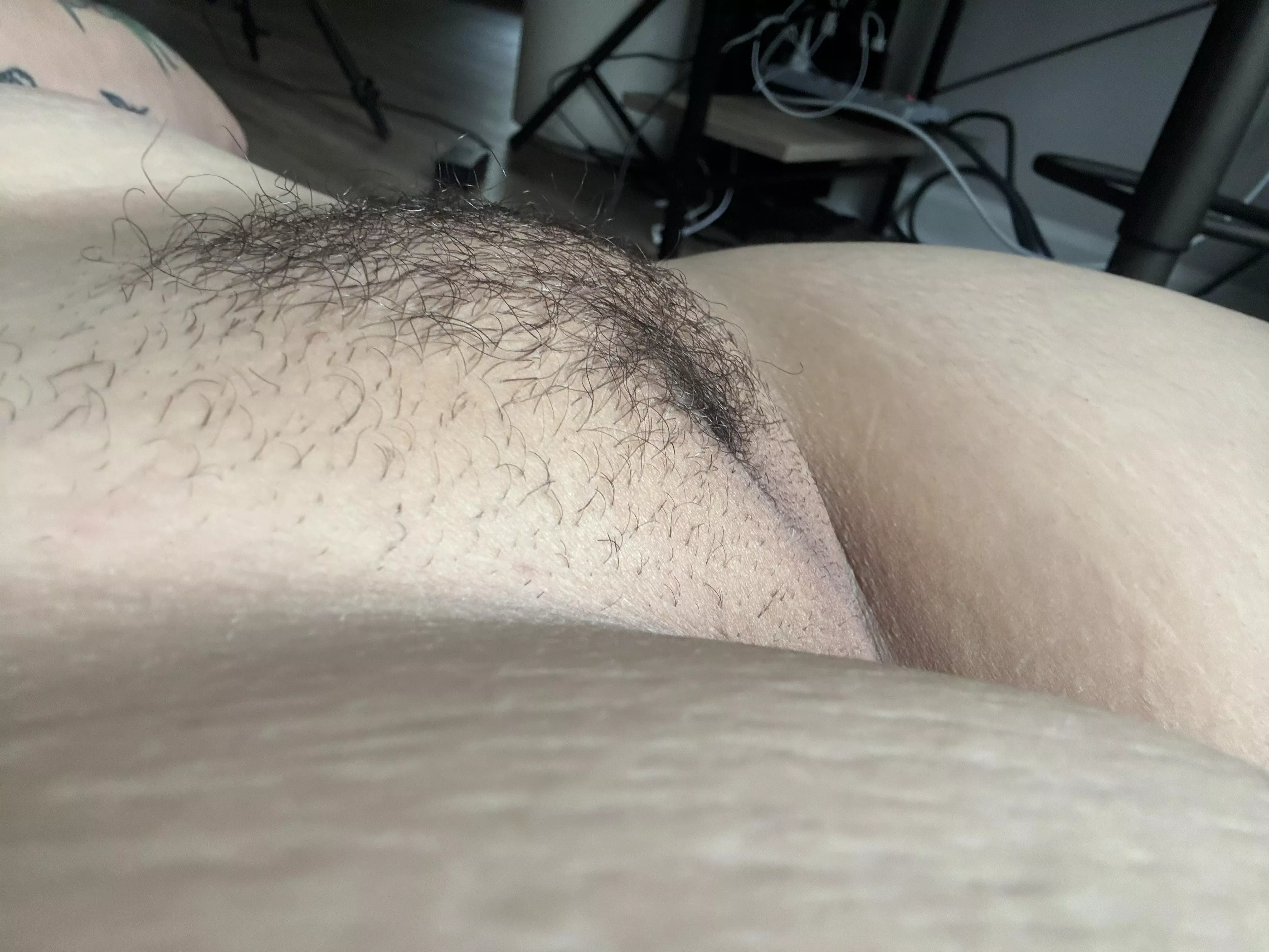 Plump & hairy pussy 