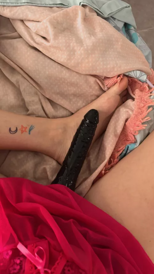 ready to lick my strap?