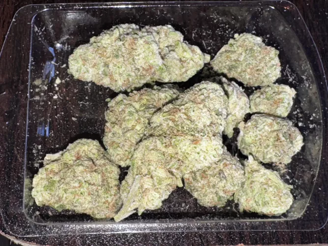 Sugar tab - SM snowtill 