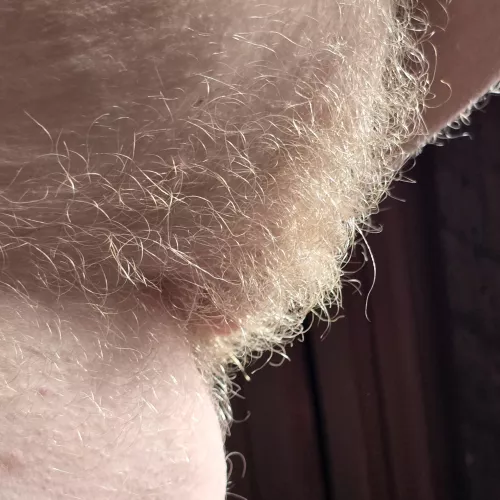 The ultimate blonde bush!