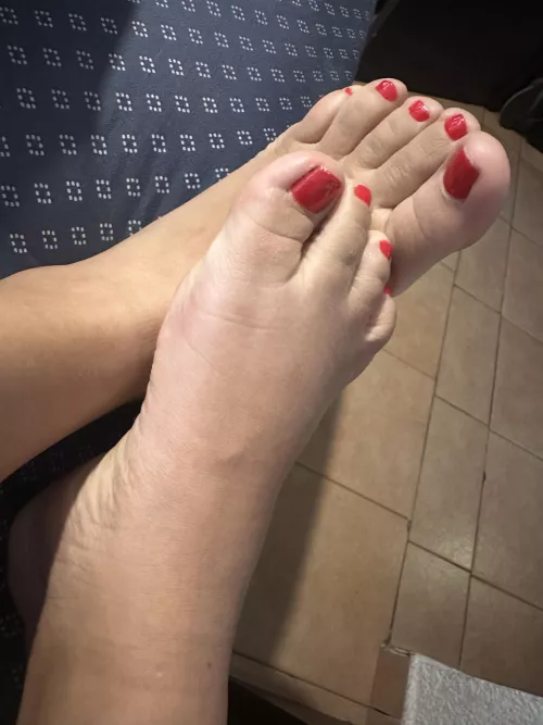 They are ready to caress