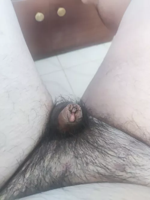 Upvote if you're bigger