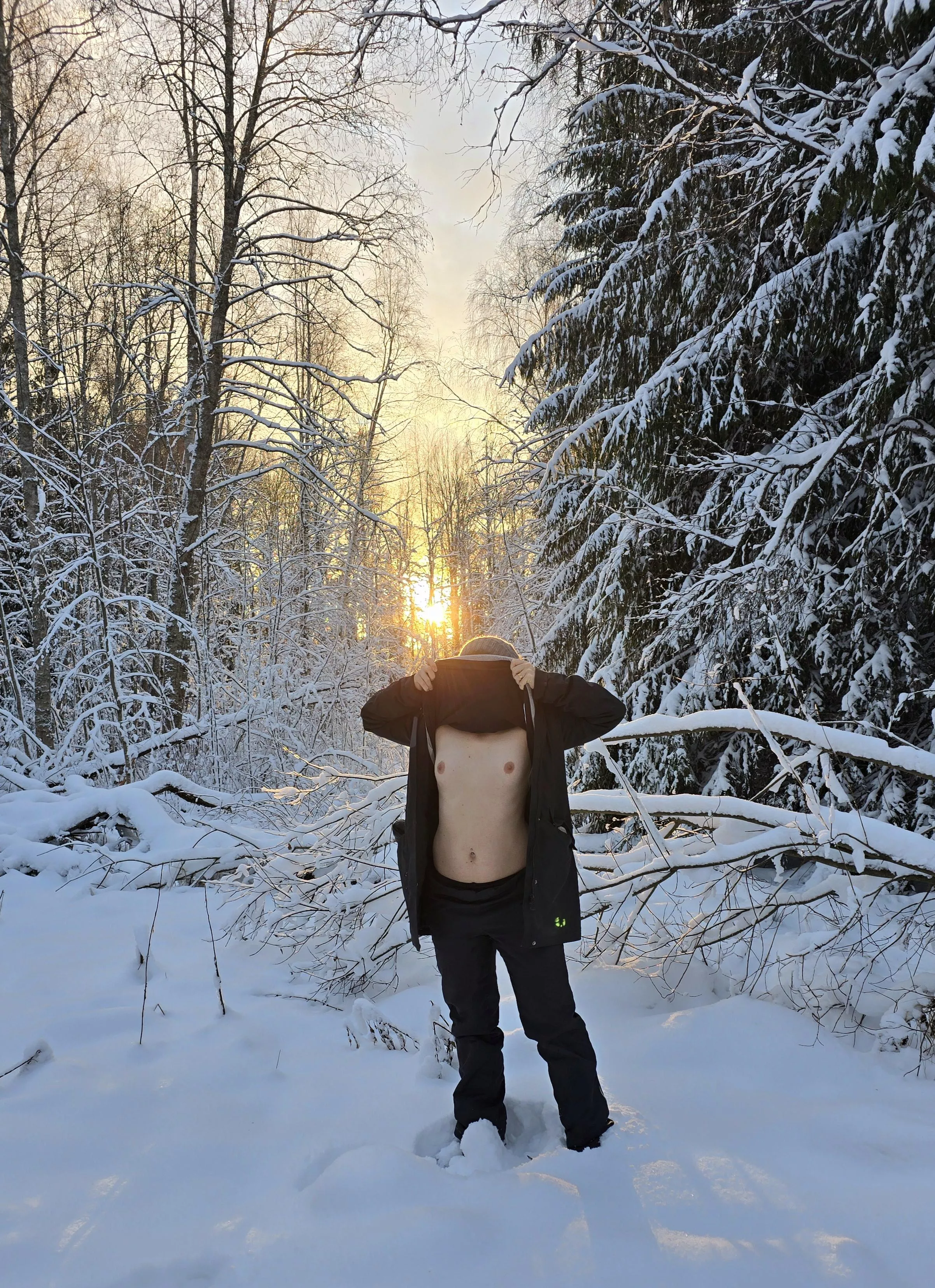 Winter tits in the woods