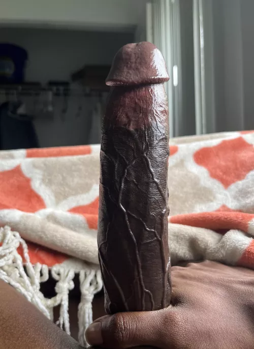 Would you kiss it or sit on it