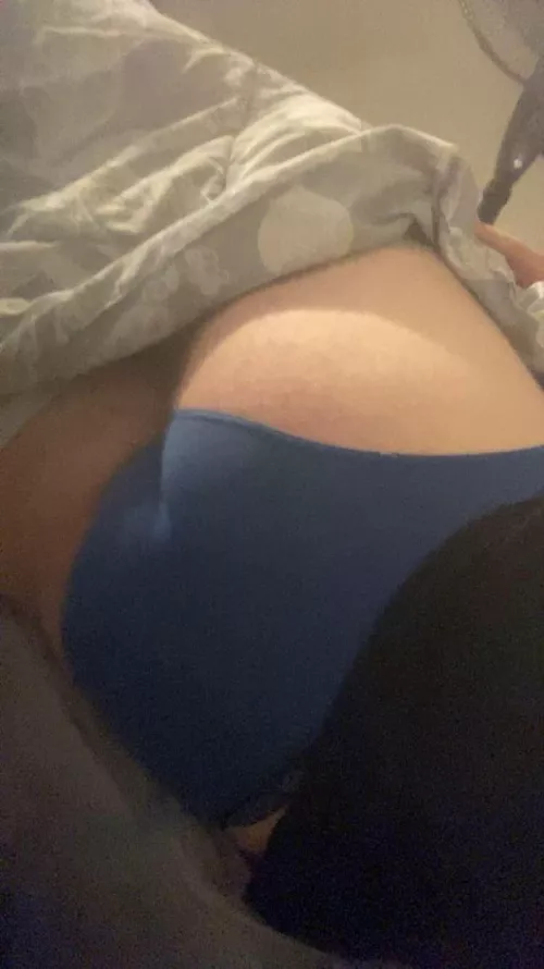 19 m hosting Pukekohe 