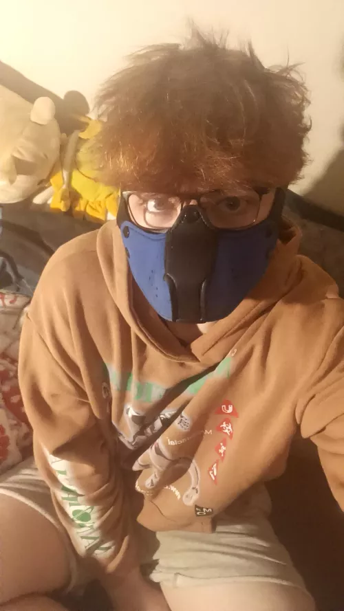 chill puppy evening ^w^ 