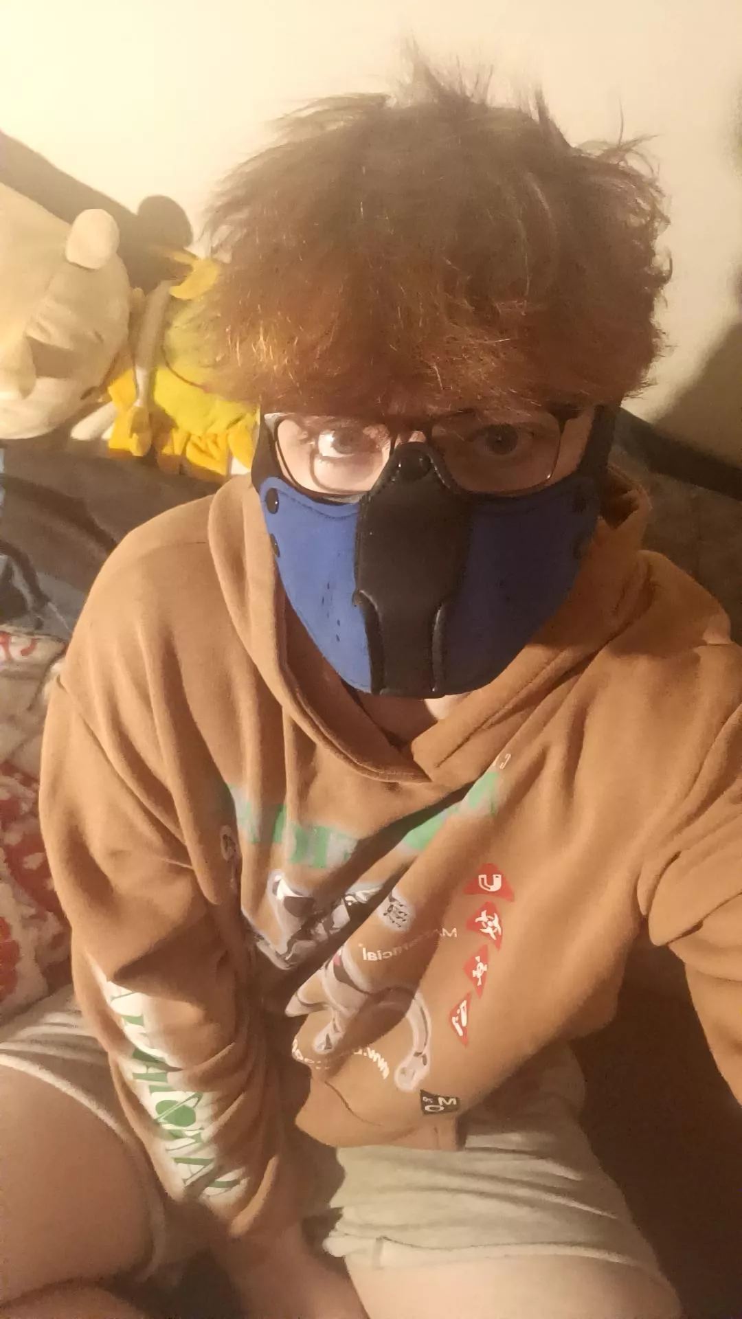 chill puppy evening ^w^ 