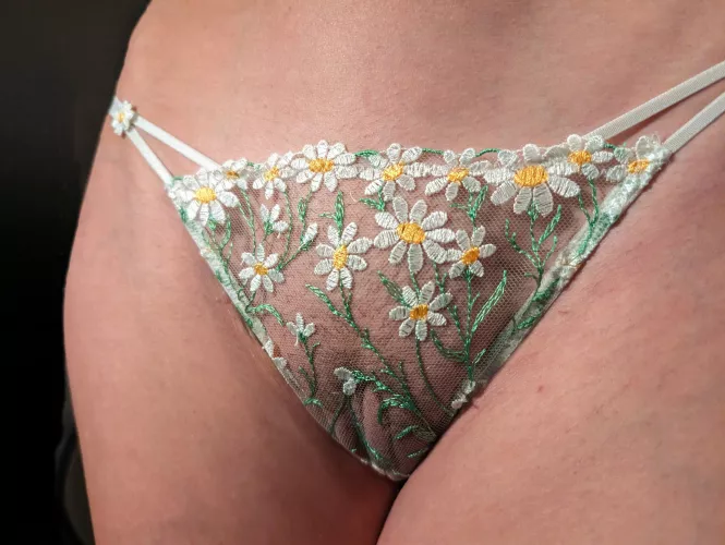 Daisies are proof that even the smallest things can bring smiles 