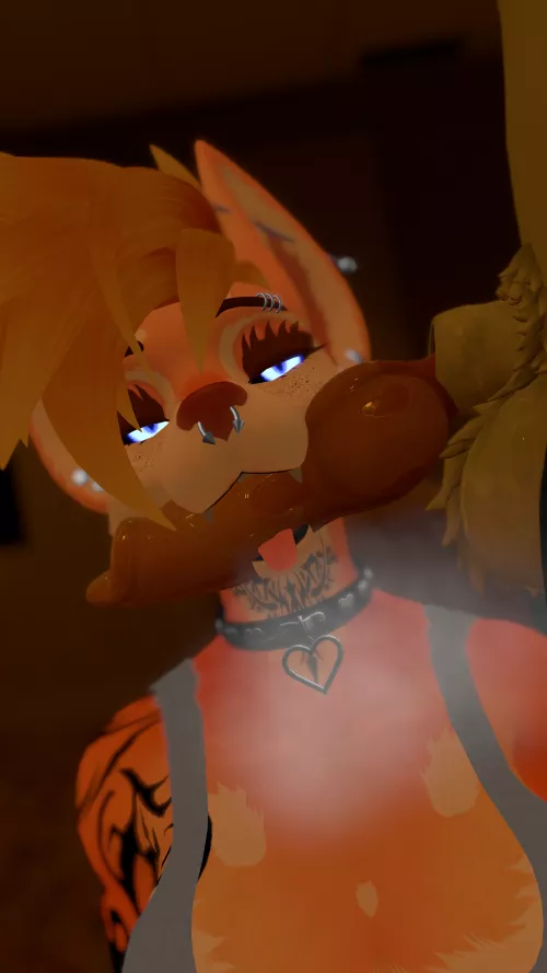 Gave this good dog a bone as a well deserved treat 