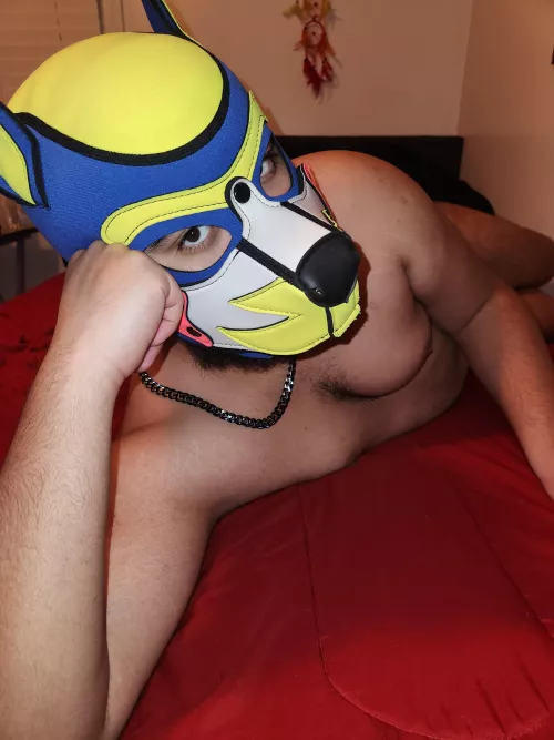 Imagine starting your day with me in your bed🤭