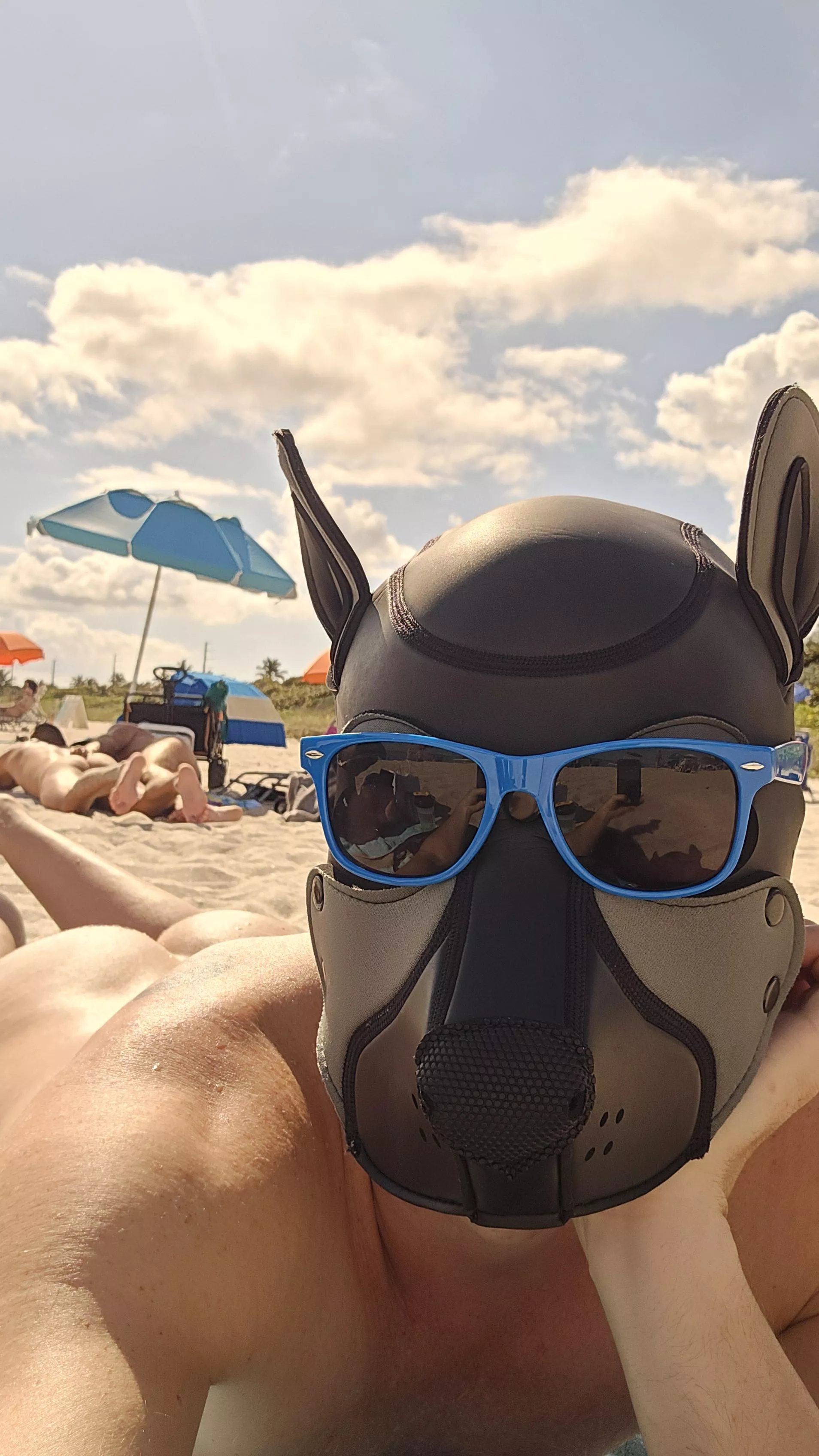 Pupper Butts at the beach! 