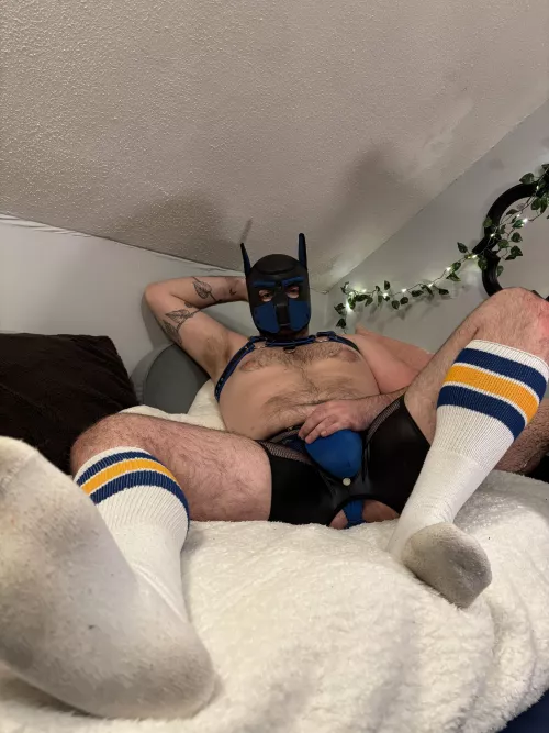 *sniff*sniff* come catch my scent