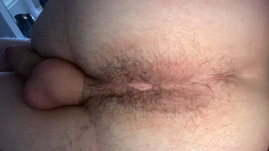 what can we do together im new here