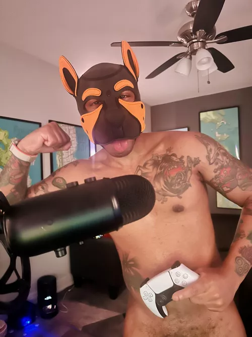 Where my gamer pups? Need some new multiplayer games 👾🐶