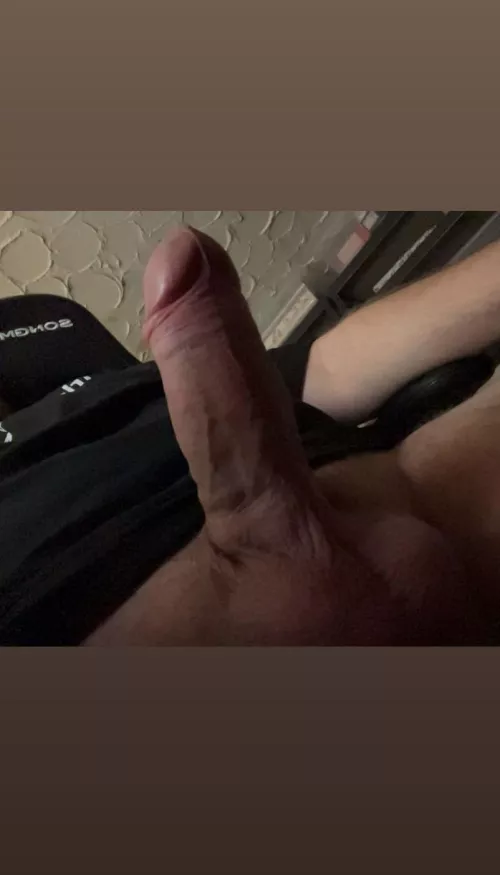 Wie findet ihr ihn? 17x6cm aus Hannover 🫣