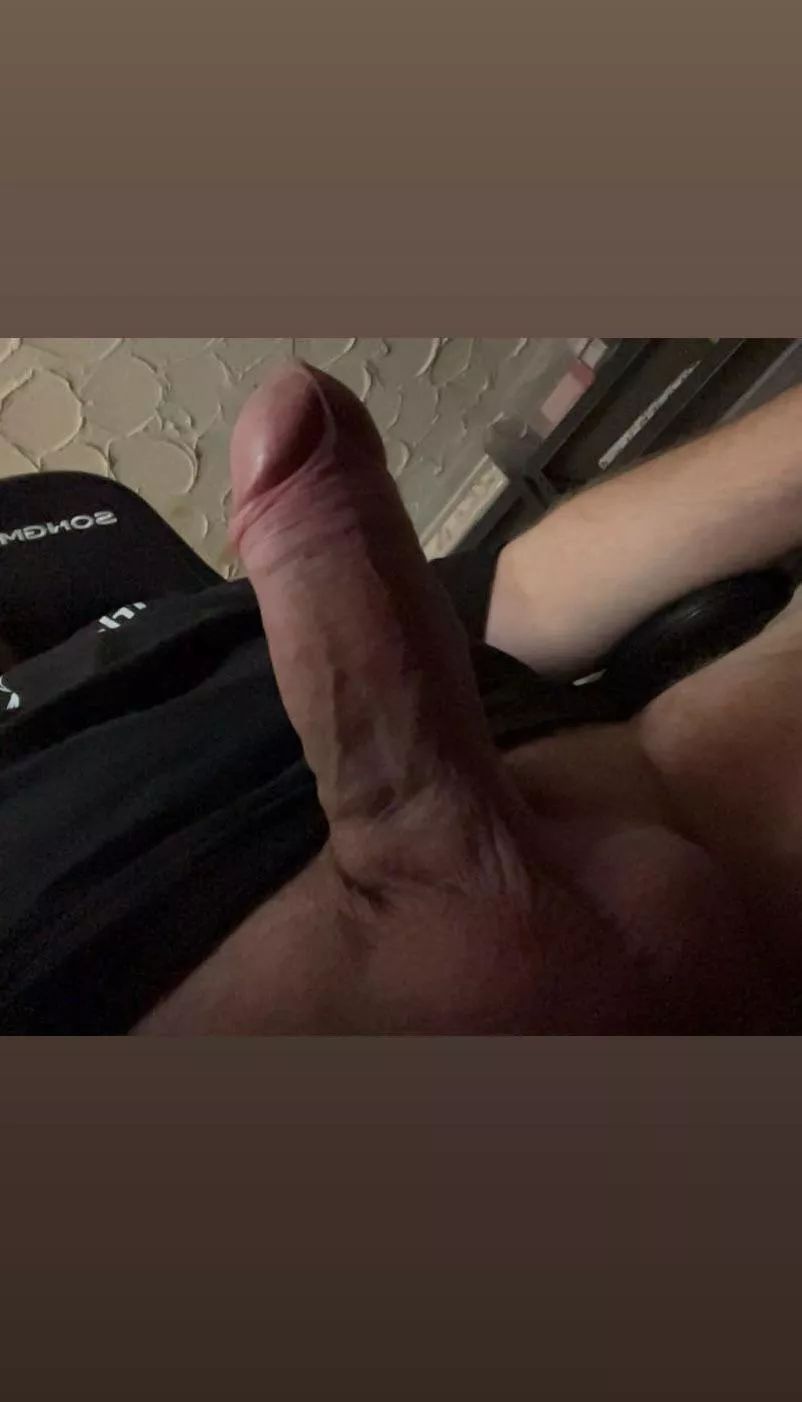 Wie findet ihr ihn? 17x6cm aus Hannover 🫣