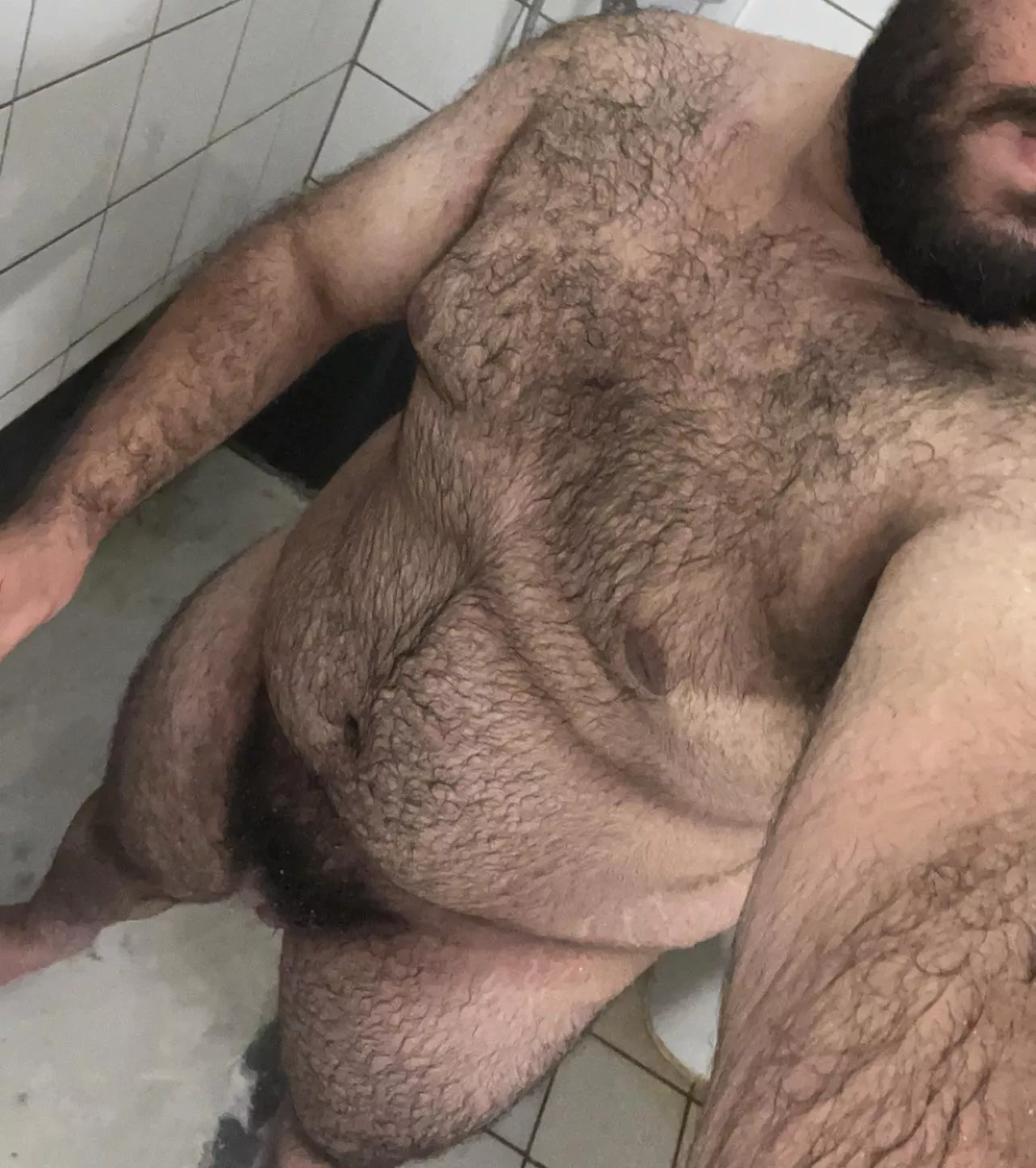 (21) hairy bottom bear, searching for a boyfriend