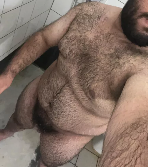 (21) hairy bottom bear, searching for a boyfriend