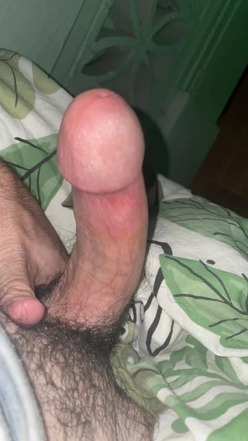 30 years old and looking to Dominate and have a helping hand 😈 