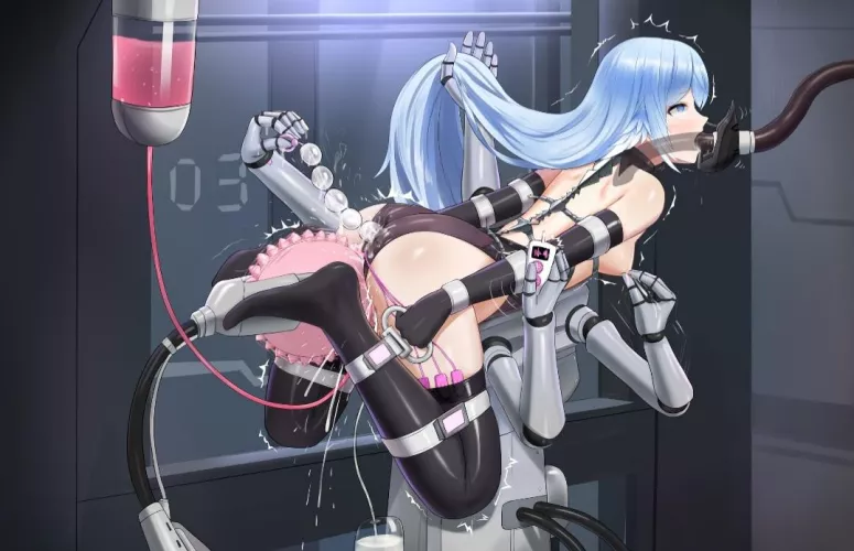 Does anybody want to have a ride on the Gangbang emulator?