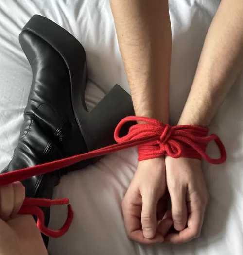 Early Christmas gift - what do we think it is? π€