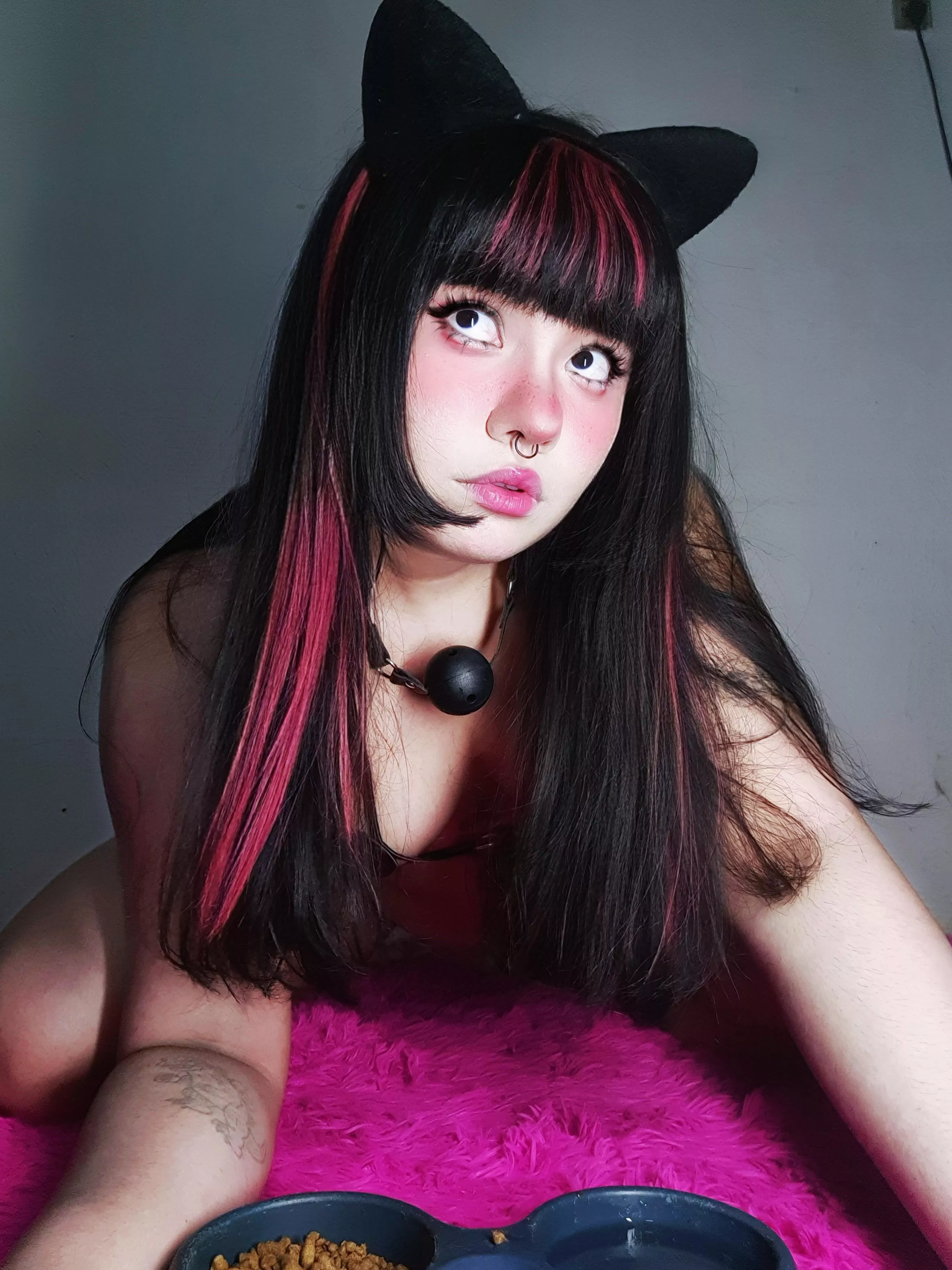 Feed this cat 🐈‍⬛