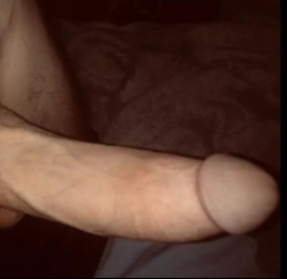 For the bunnies….😈