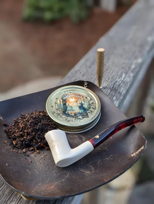 Happy Thanksgiving 🍂