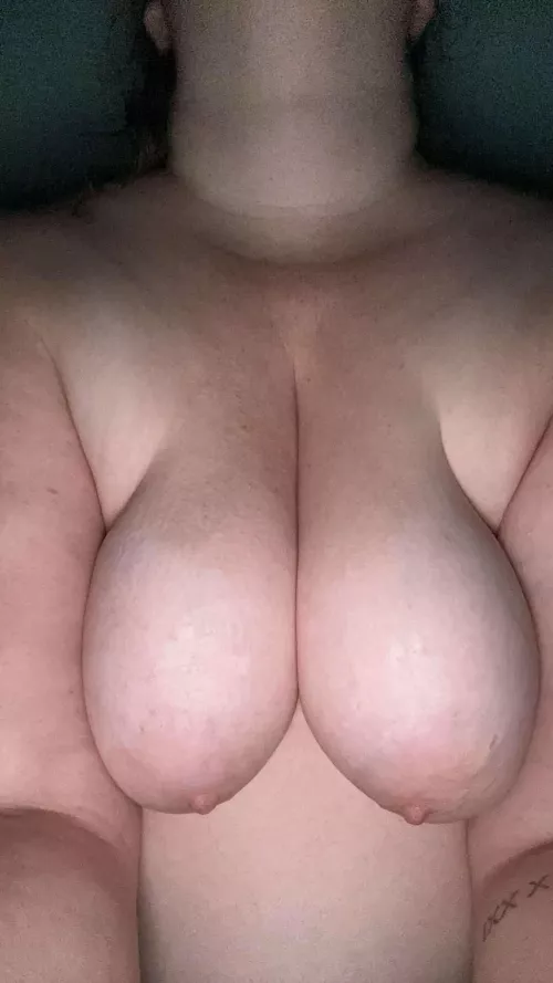 happy turkey day from 31f in northern vt