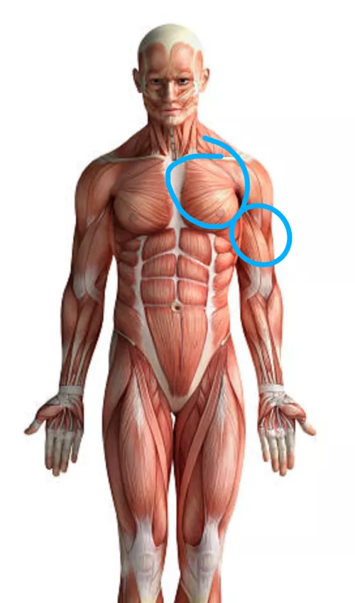 Incident with scooter, when I meet the doctor?