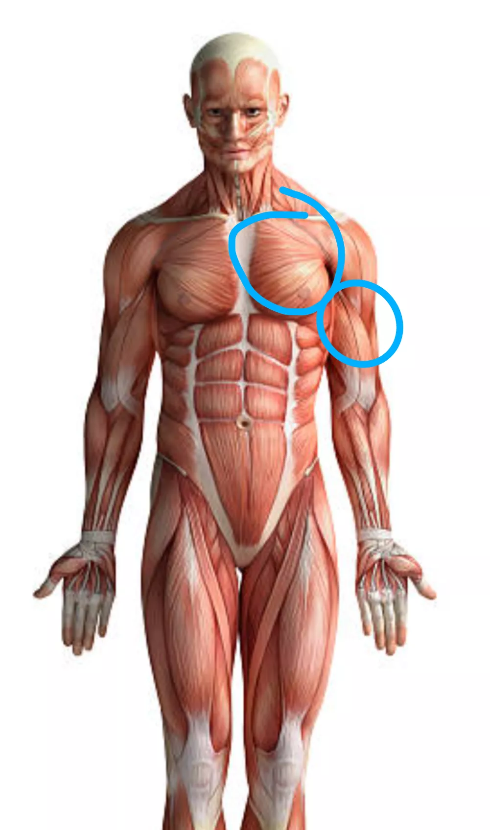 Incident with scooter, when I meet the doctor?