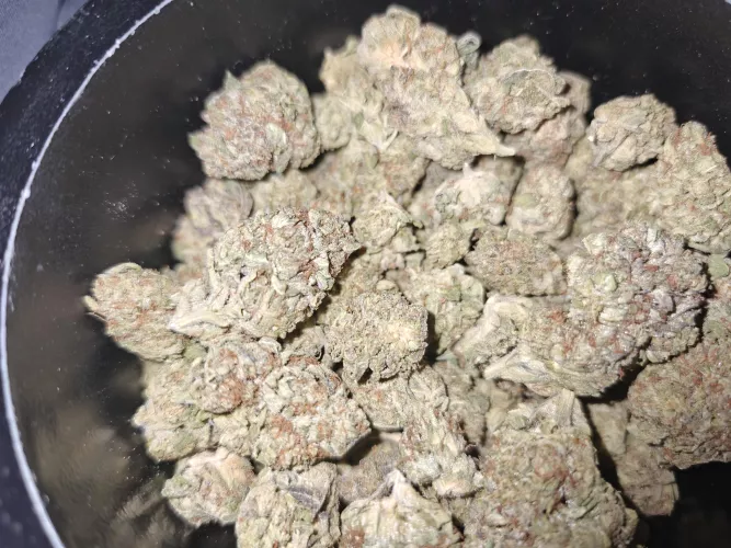 Jkd - figured Id give them a shot. Very reggy. Not much taste. Italian Ice....