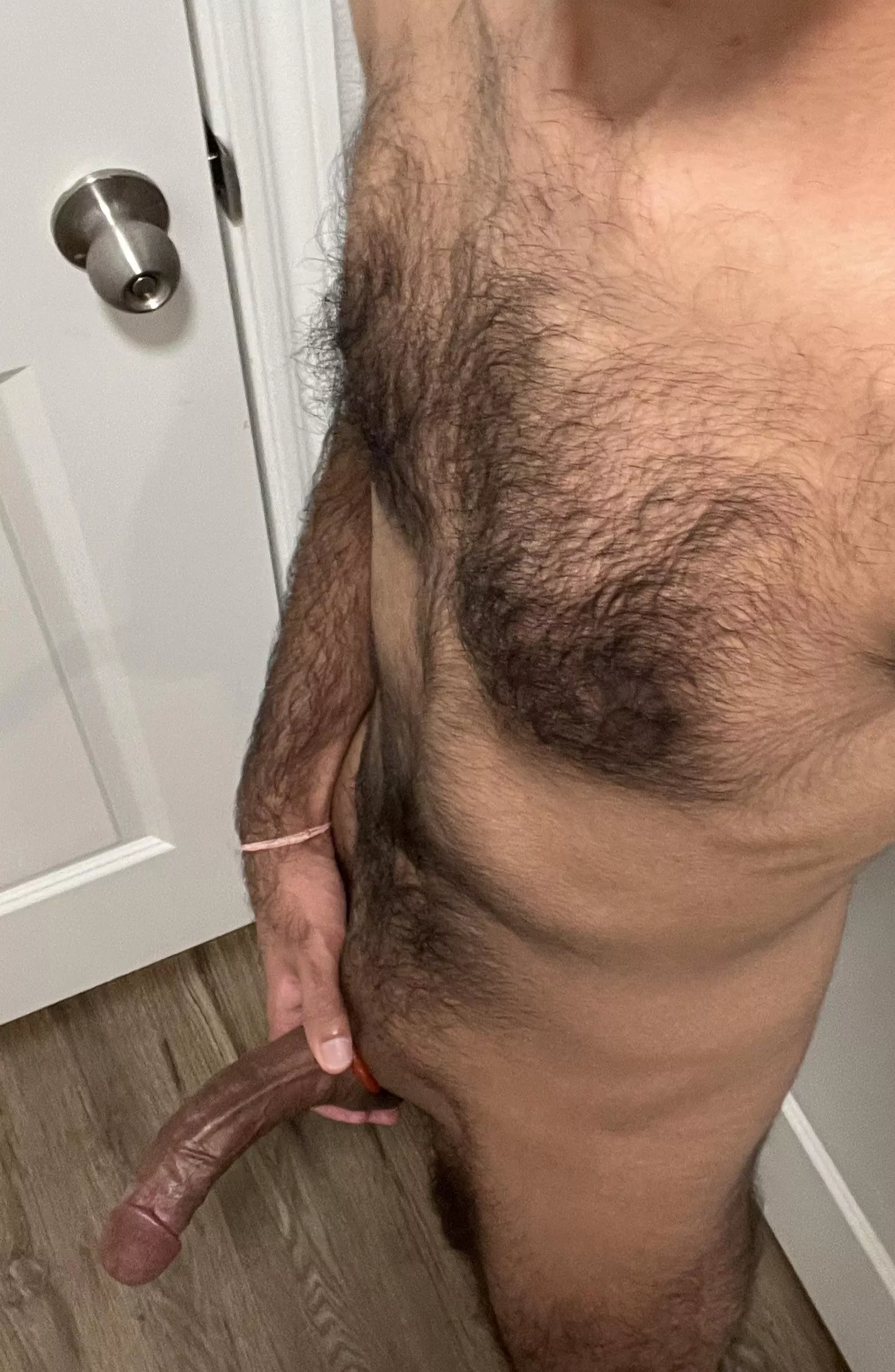 M4F/FM bull available on Thanksgiving 
