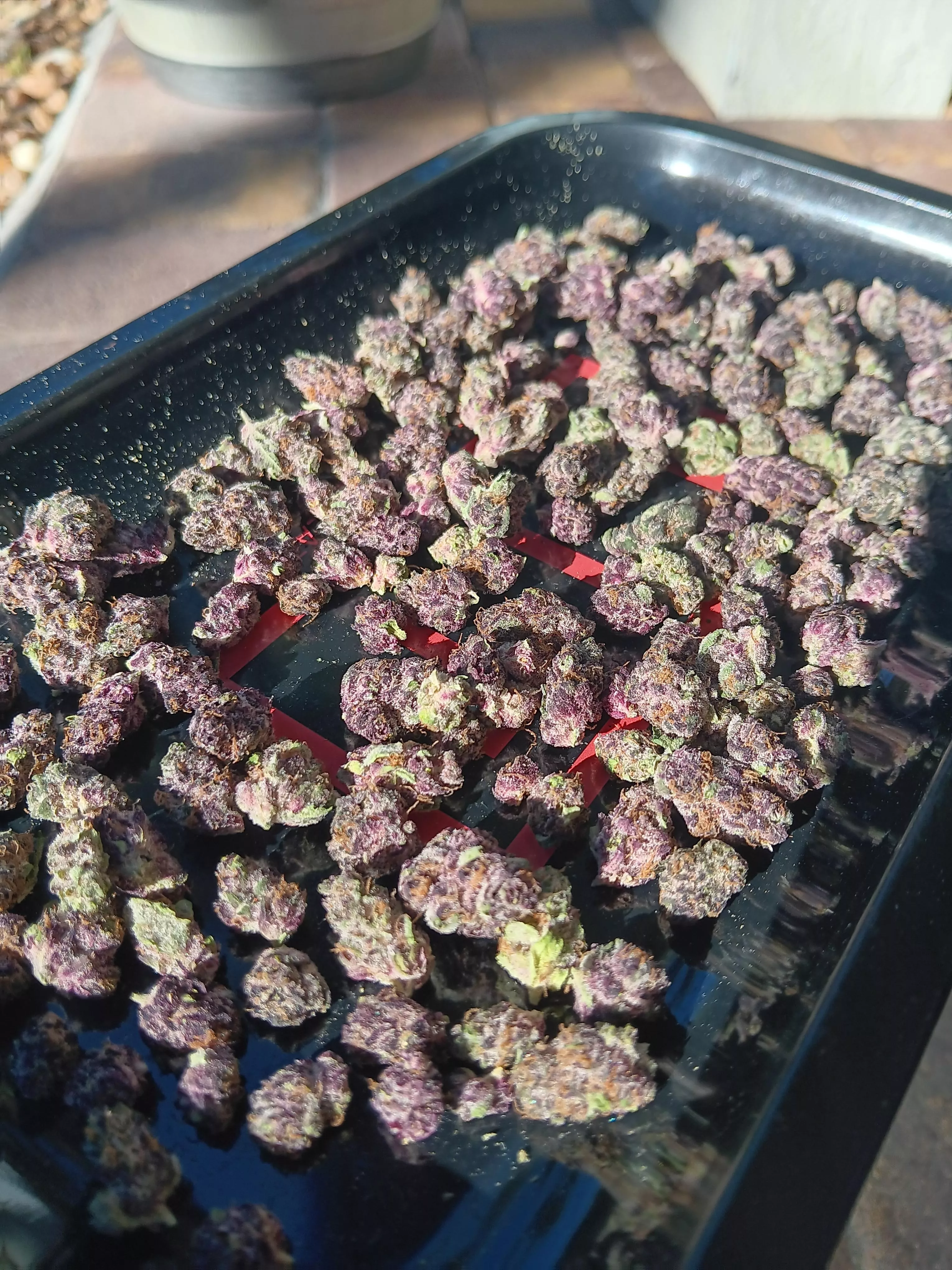 My 2nd Cult ounce review