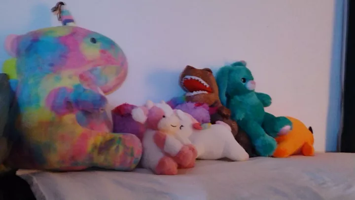 My Stuffies Always Keep Me Company. 🥹🩷