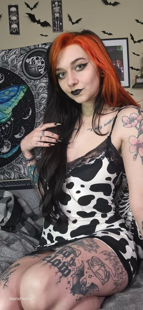 MyOF is still half off and no ppv! >:)