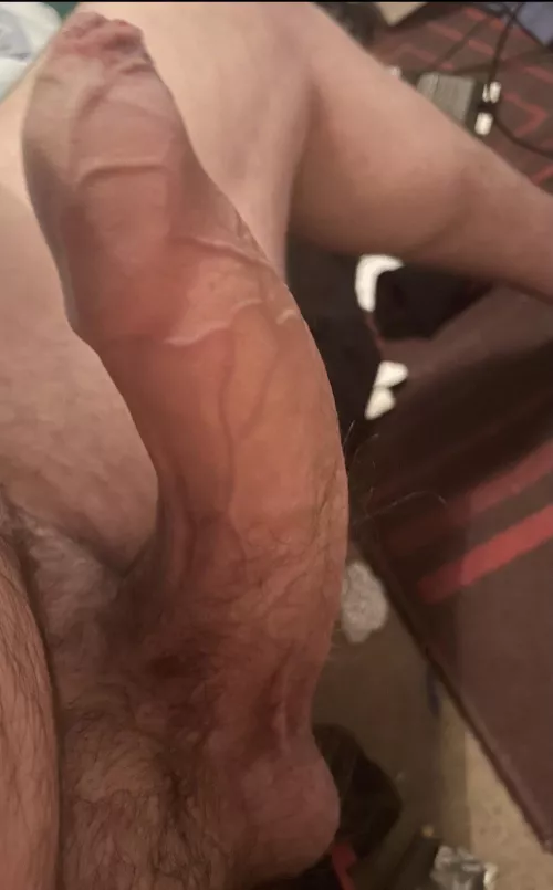 Needs a good licking 