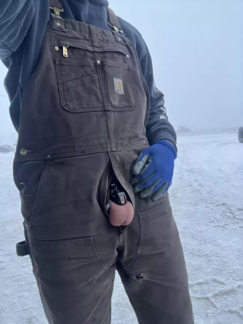 Someone please invent a heated cage already 🥶