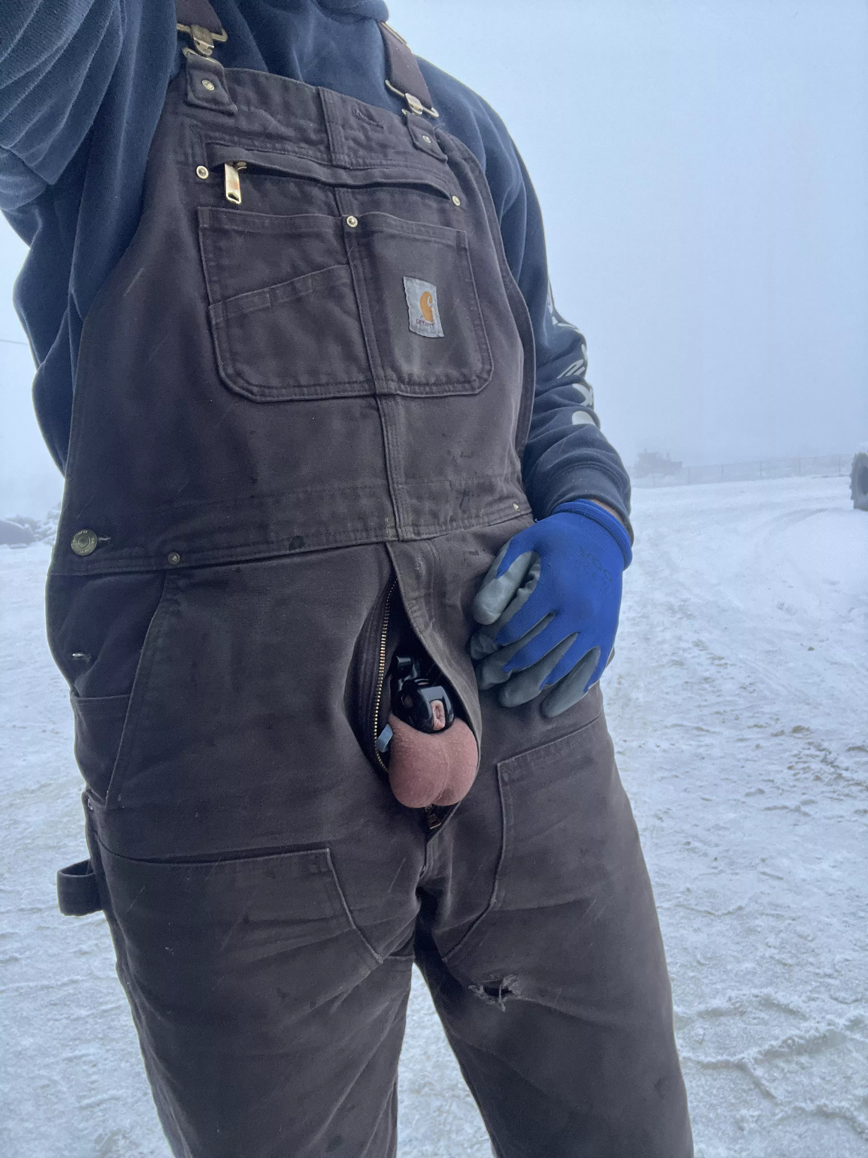 Someone please invent a heated cage already 🥶