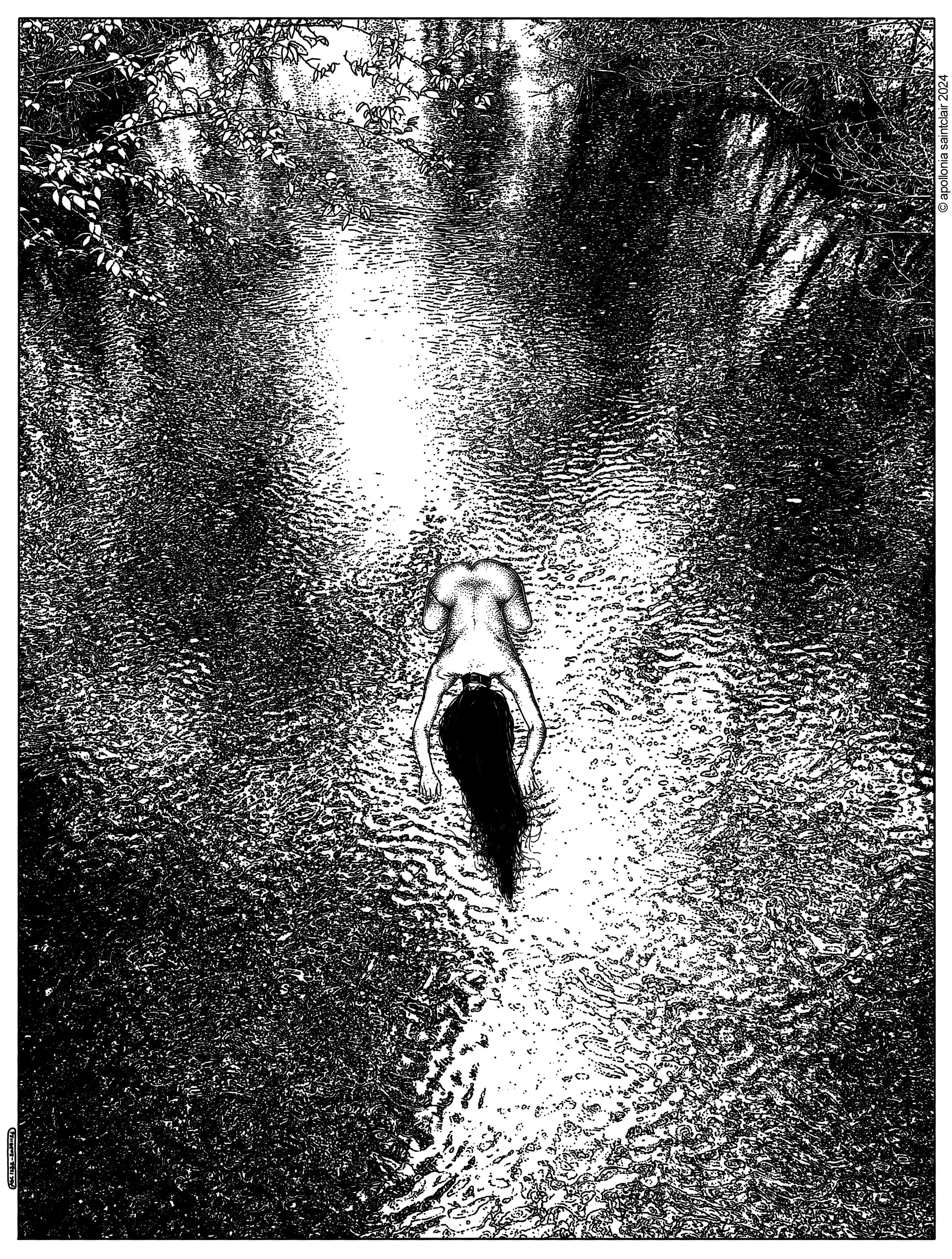 The moor pond by Apollonia Saintclair