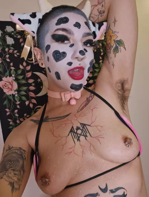 This fuzzy cow could really use a deep breeding right about now