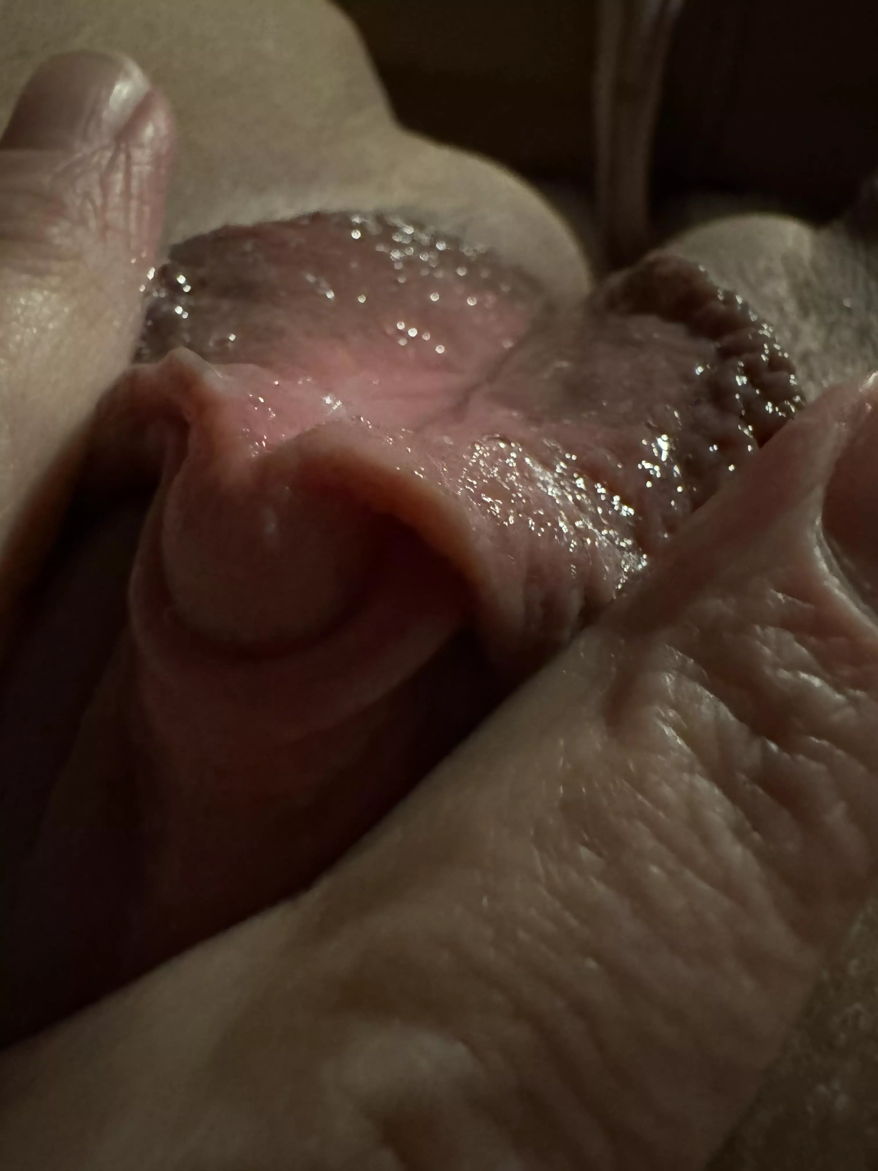 What are you thankful for?