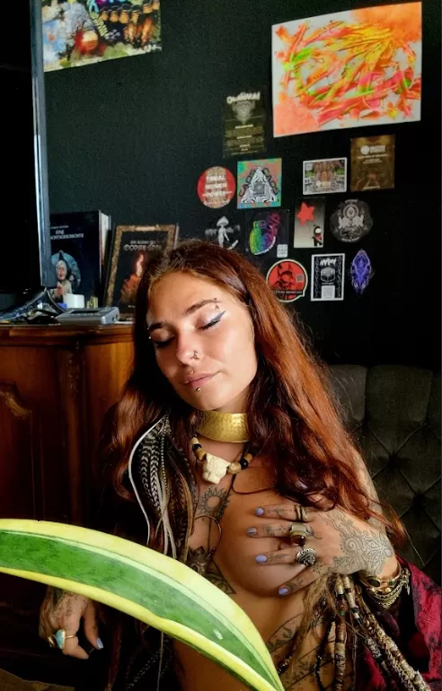 You would love to play with them.